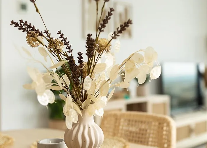 公寓 Sol Y Mar 托雷维耶哈