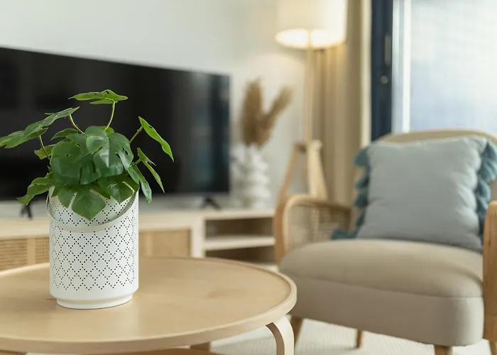 Sol Y Mar Τορεβιέχα